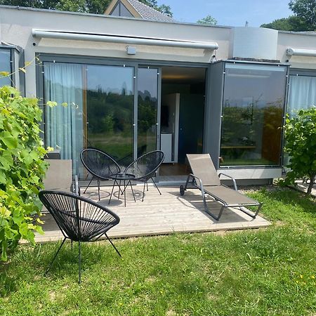 *Brandnew* Modernes Apartment In Den Weinbergen Mit Pool Und Sauna Spielfeld Zewnętrze zdjęcie